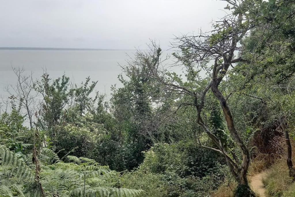 Maison Vue Sur Le Mont Saint Michel Et Sa Baie Champeaux Zewnętrze zdjęcie